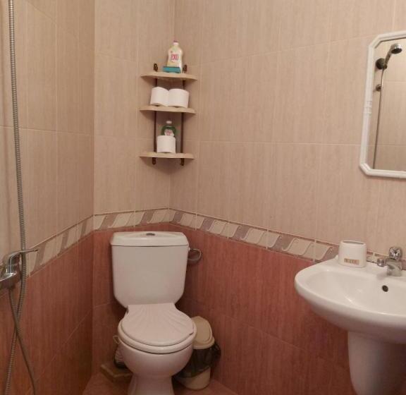 بنسيون стаи за гости русинови