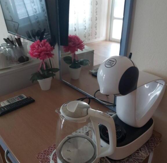 بنسيون стаи за гости русинови