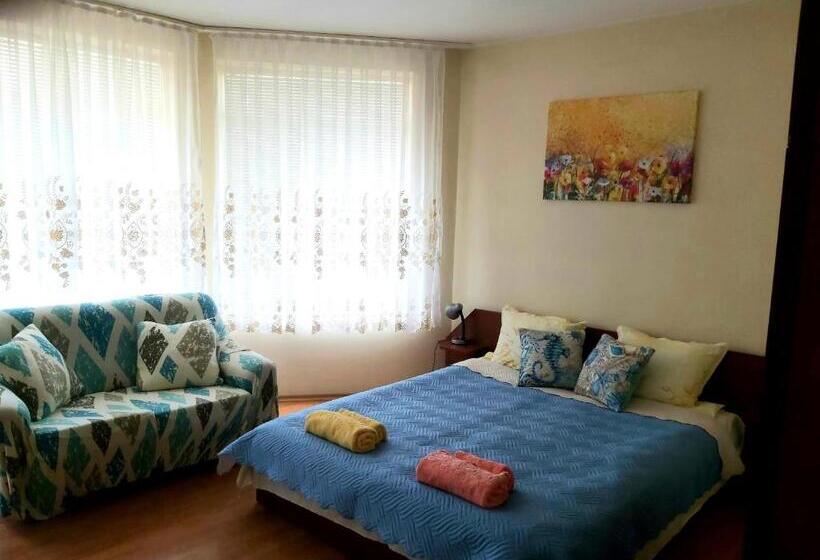 بنسيون стаи за гости русинови