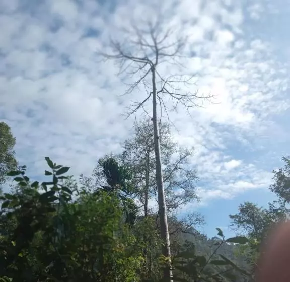 Majatalo Woodland Hideaway In Sinharaja