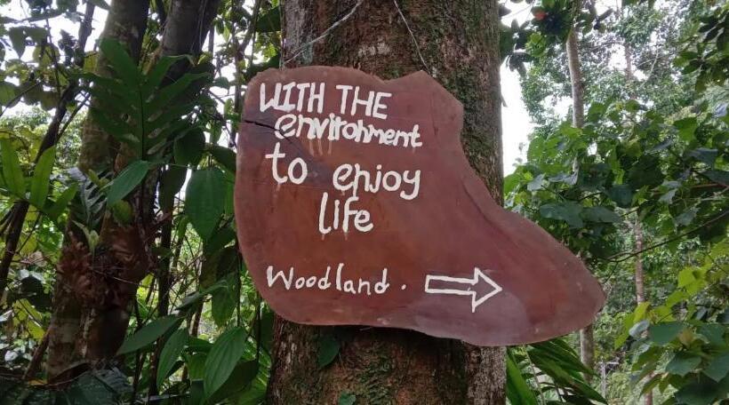 פנסיון Woodland Hideaway In Sinharaja