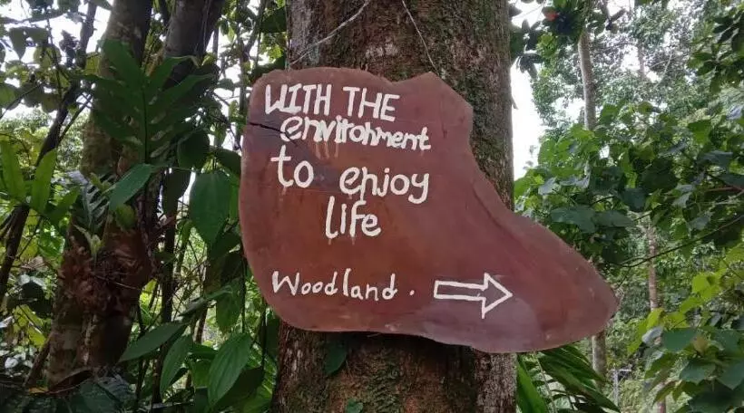 Majatalo Woodland Hideaway In Sinharaja