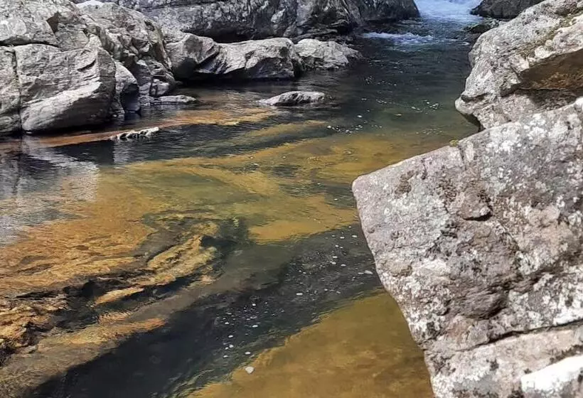 Majatalo Woodland Hideaway In Sinharaja