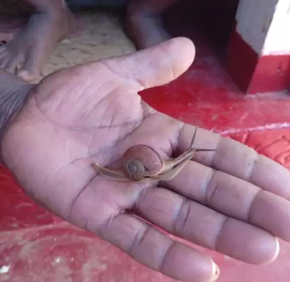 Majatalo Woodland Hideaway In Sinharaja