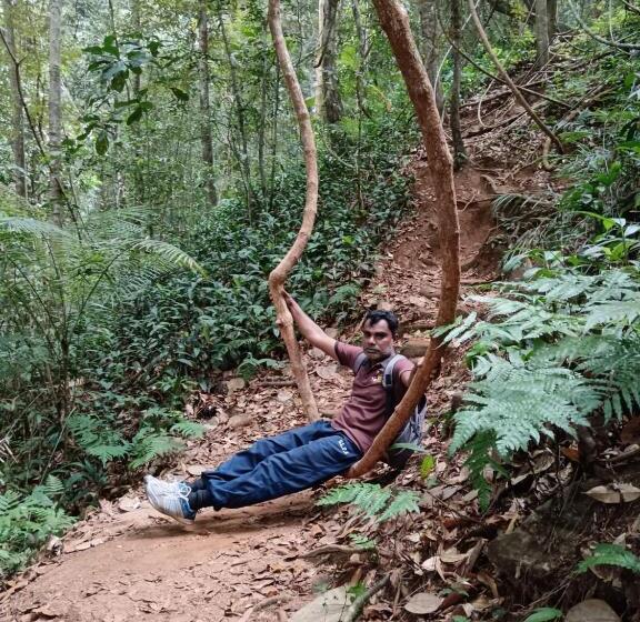 פנסיון Woodland Hideaway In Sinharaja