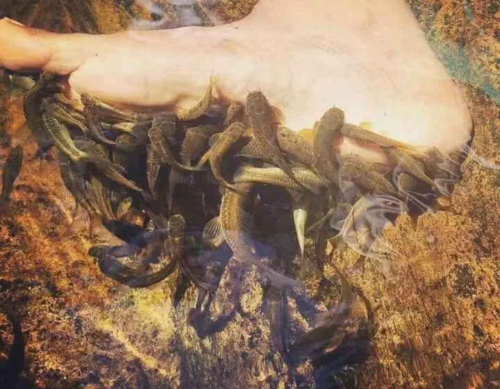 Majatalo Woodland Hideaway In Sinharaja