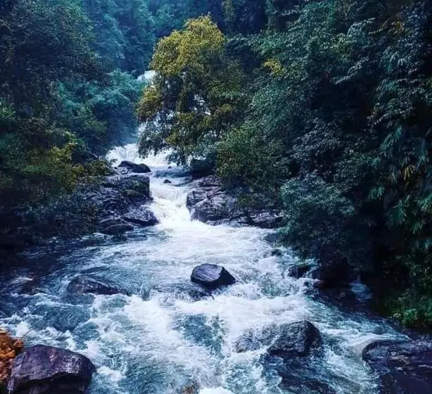Majatalo Woodland Hideaway In Sinharaja