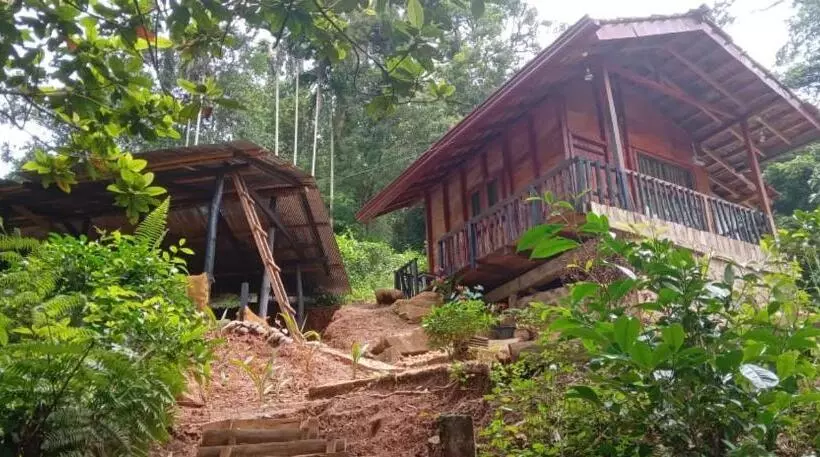 Majatalo Woodland Hideaway In Sinharaja
