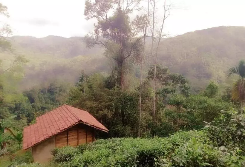 Majatalo Woodland Hideaway In Sinharaja