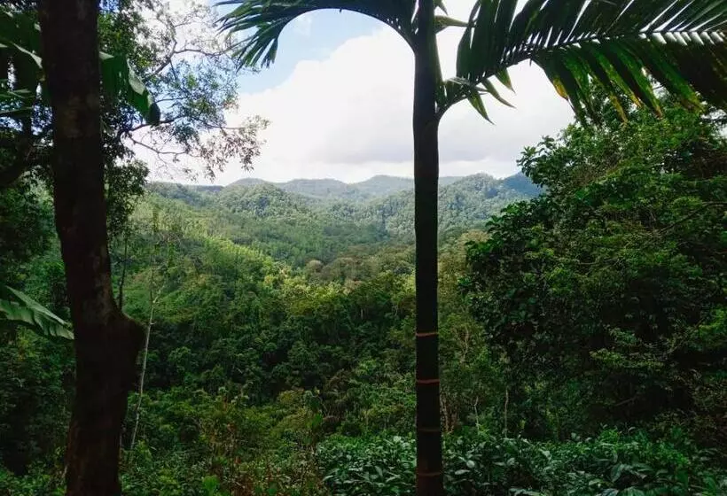 Majatalo Woodland Hideaway In Sinharaja
