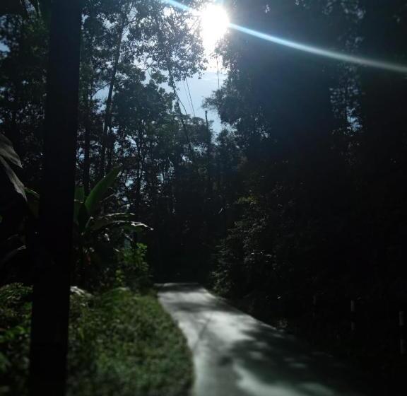 פנסיון Woodland Hideaway In Sinharaja