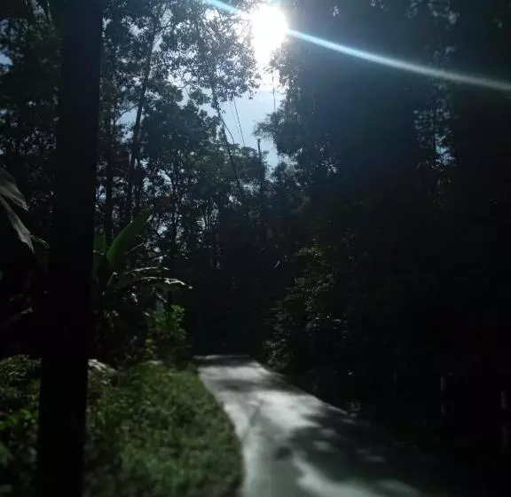 Majatalo Woodland Hideaway In Sinharaja