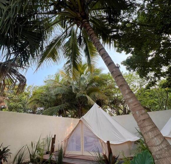 هتل Shamalay Nomad Experience