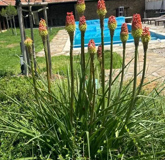 Majatalo Chez Le Colonel Pool House