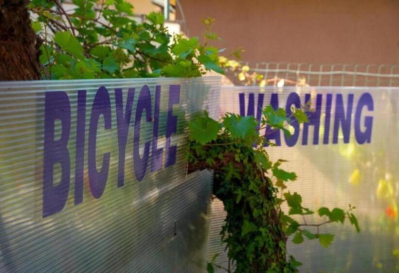 پانسیون Joyfül Accomodation