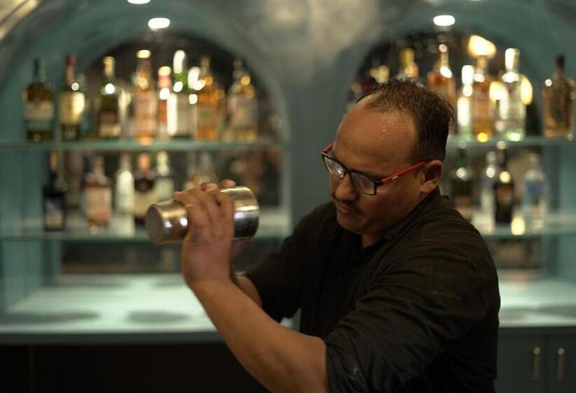 酒店 Townhouse Shobhagpura Formerly Fragrance