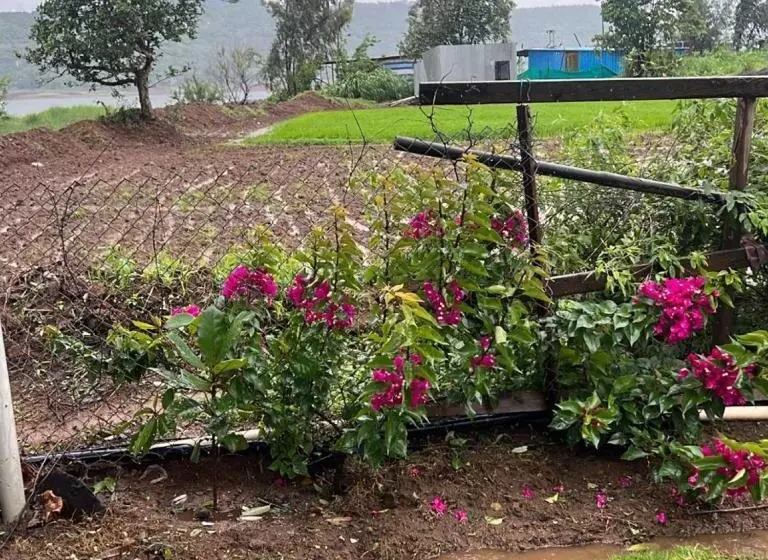 Lomakeskus Get Set Go Camping & Cottage Pawna