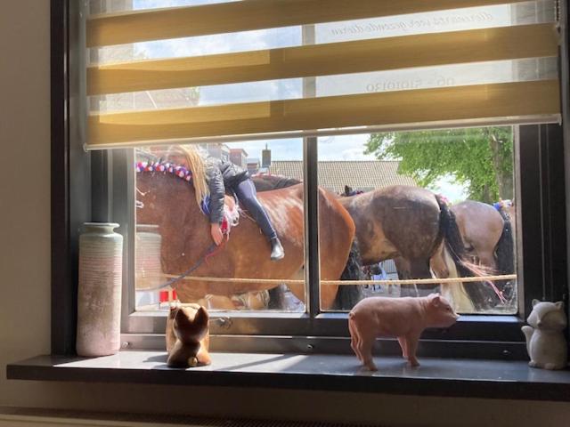 צימר Le Petit Hotel   Strange