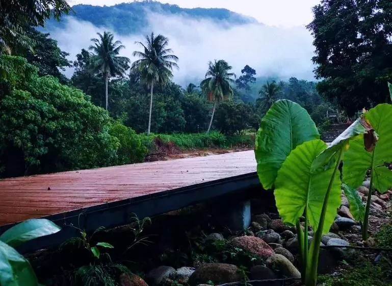 Aamiaismajoitus (B&B) The Creek Haus