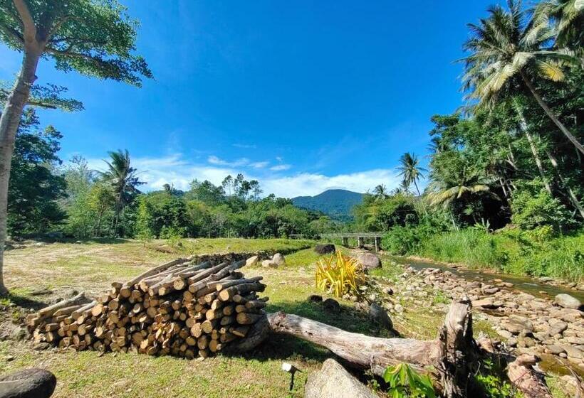 Bed and Breakfast The Creek Haus