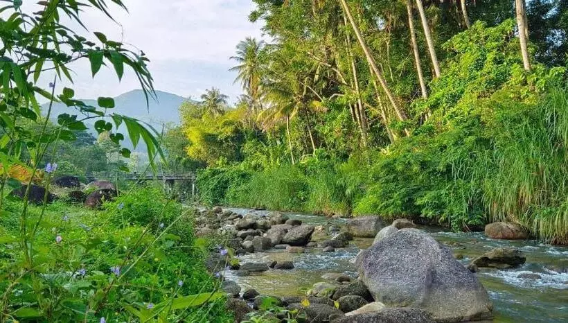 Aamiaismajoitus (B&B) The Creek Haus