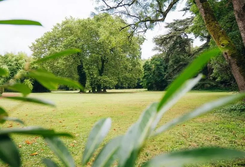 ホテル Domaine De La Tremblère