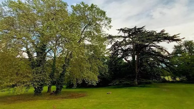 ホテル Domaine De La Tremblère