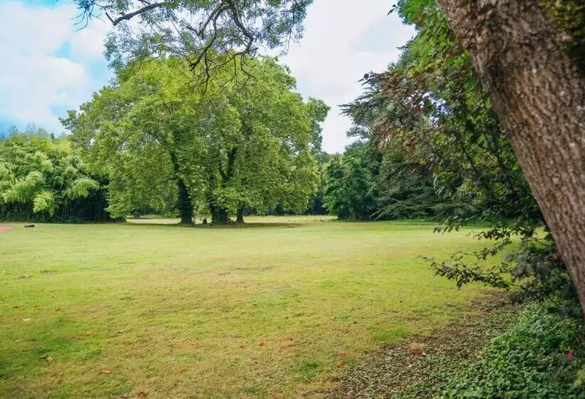 ホテル Domaine De La Tremblère