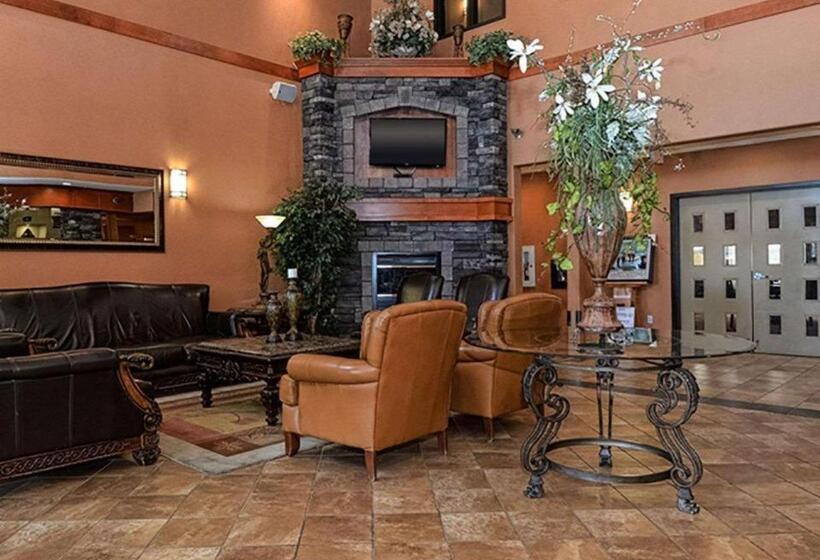 Szálloda Quality Inn & Suites