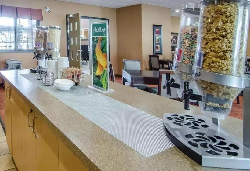 Hotelli Quality Inn & Suites