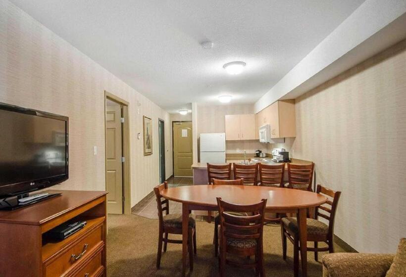 Szálloda Quality Inn & Suites