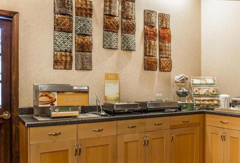 Отель Quality Inn & Suites