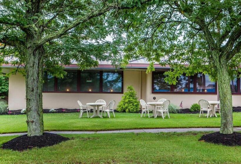 Отель Quality Inn & Suites