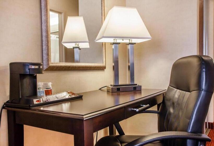 Отель Quality Inn & Suites