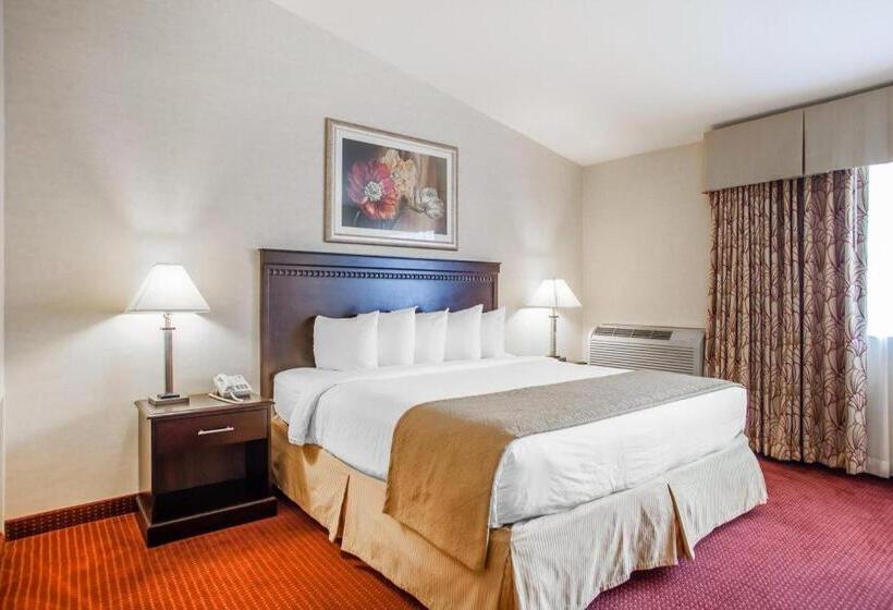 Отель Quality Inn & Suites