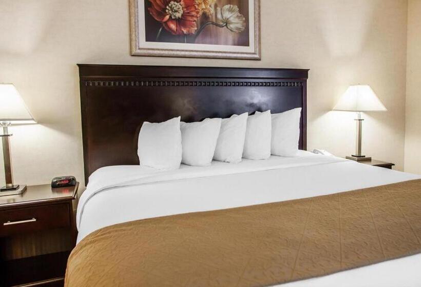 Отель Quality Inn & Suites