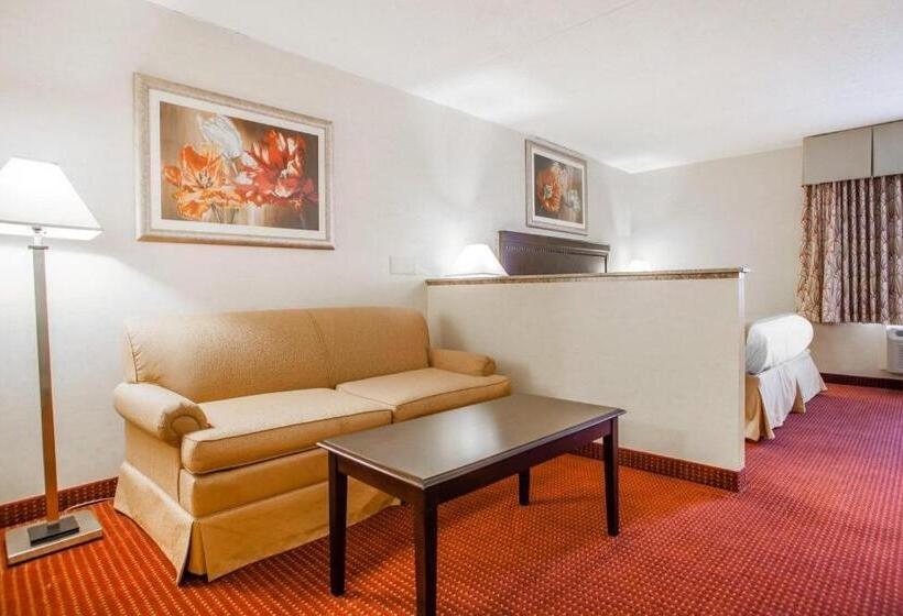 Отель Quality Inn & Suites