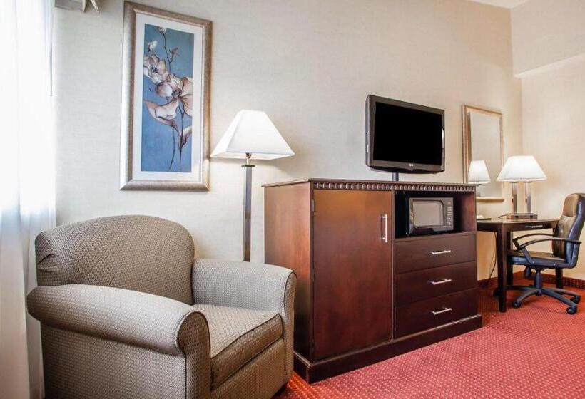Отель Quality Inn & Suites