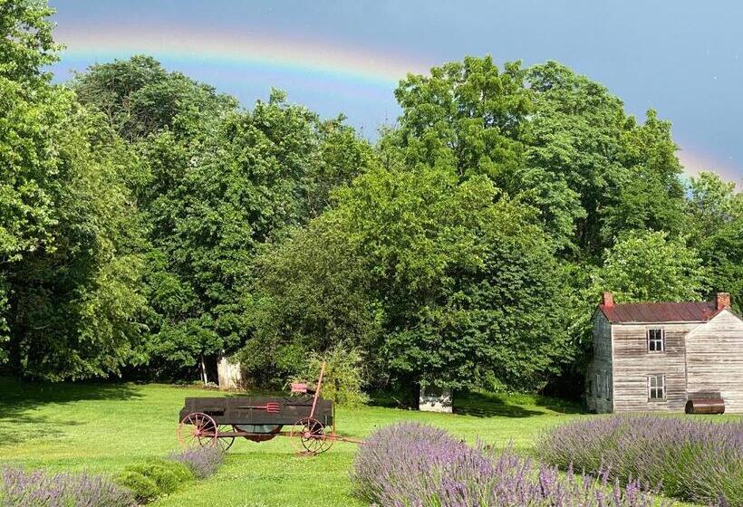Pansiyon La Soledad Lavender Farm And Guesthouse