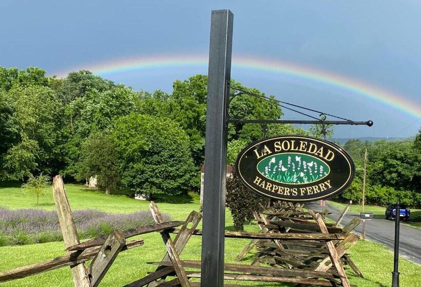 Pansiyon La Soledad Lavender Farm And Guesthouse