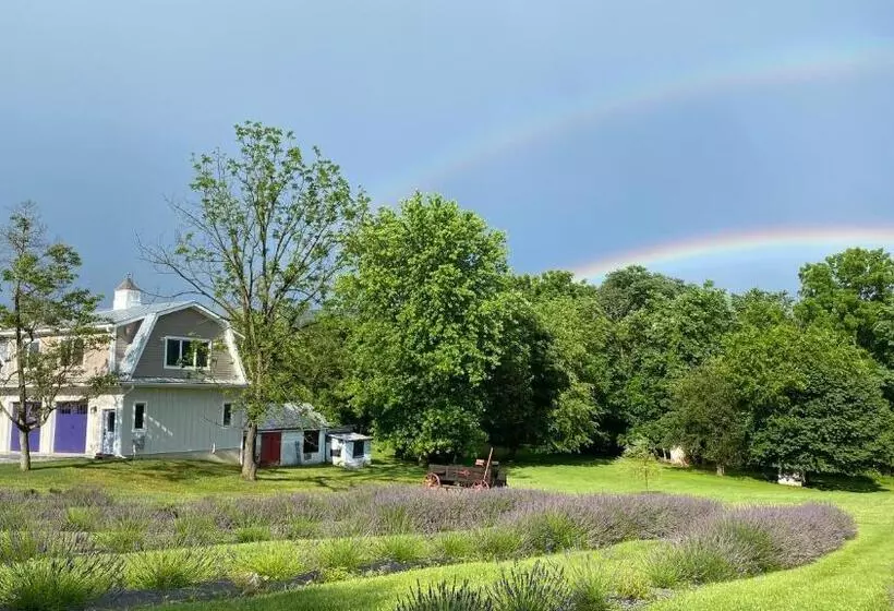 ペンション La Soledad Lavender Farm And Guesthouse