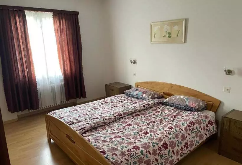 Hotelli Ristorante B&b Gambarogno