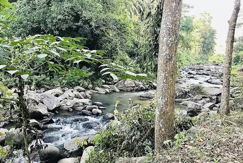 Hotelli Shoolin Wood