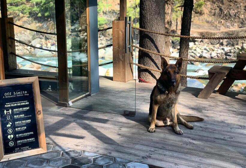 호텔 The Alpine Guest House