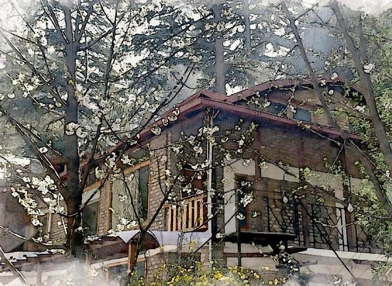 호텔 The Alpine Guest House