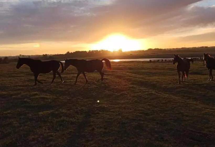 Majatalo Estalagem Haras Di Cellius