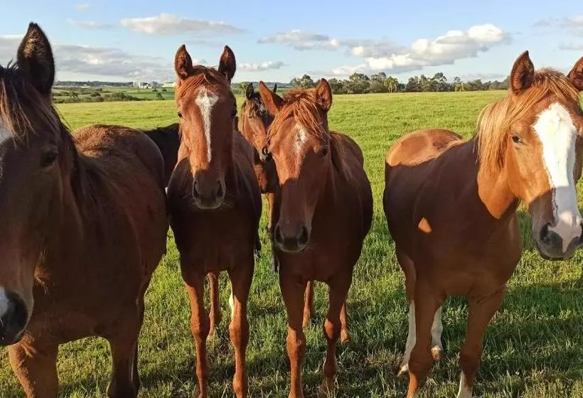 Majatalo Estalagem Haras Di Cellius