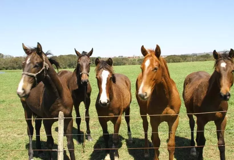Majatalo Estalagem Haras Di Cellius