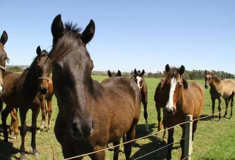 Majatalo Estalagem Haras Di Cellius