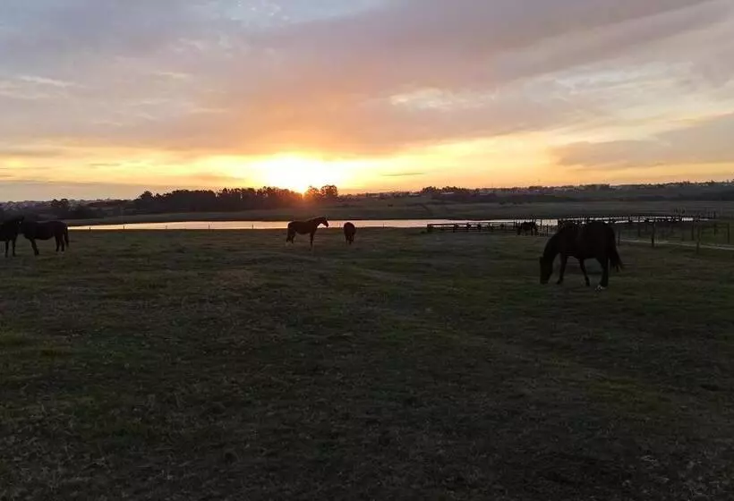 Majatalo Estalagem Haras Di Cellius